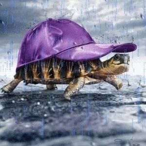 Meet your Posher, Dianna